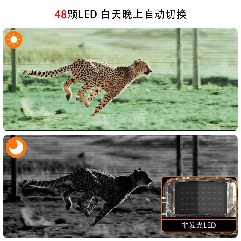 ГОРЯЧАЯ РАСПРОДАЖА DL001 Охотн – обзор и цена Outdoor Hunting Images